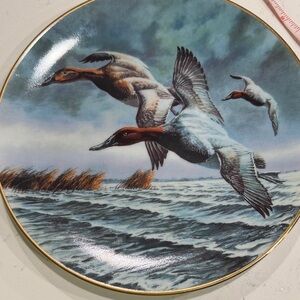 Federal Duck Stamp Collection ‘Canvasbacks’ by David Maass 1990